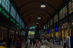 IMG_0734