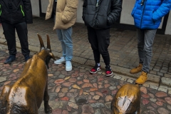 IMG_0546