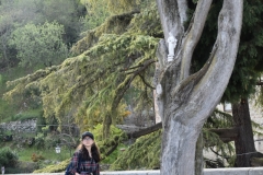 DSC_1025